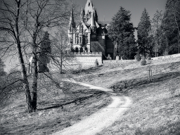 Burg Drachenfels - Königswinter